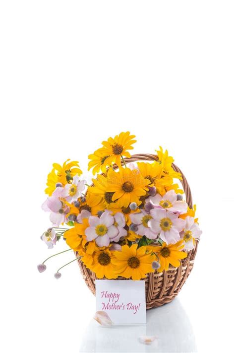 Bouquet of Yellow Big Daisies Isolated on White Stock Photo - Image of garden, bouquet: 123967270