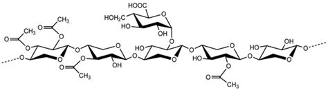 Hemicellulose-Based Polymers Processing and Application