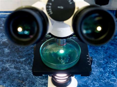 What Is a Binocular Microscope and What Are Its Benefits?