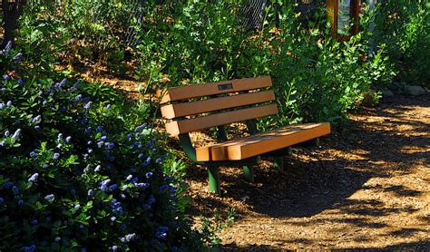 Shady Seat Free Stock Photo - Public Domain Pictures