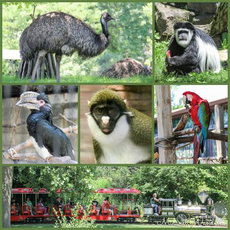 6 Small Midwest Zoos Great for a Short Visit