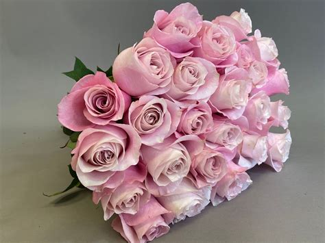 Two Dozen X-Long Stem 'Secret Garden' Roses The Rosarium - Premium Flower Delivery Vaughan ...