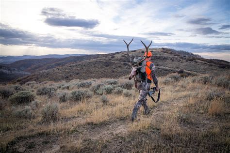 Elk Camp - A Family Tradition - Montana Wild