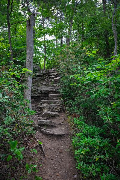 How to Find The Best Fall Creek Falls Hiking Trails