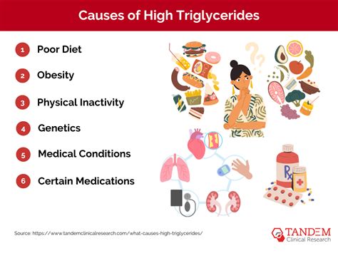 High Triglycerides: Causes, Risks, and Management