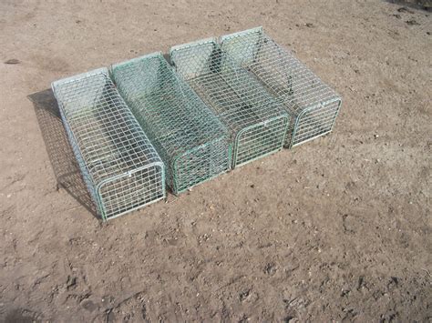 Live capture rabbit traps | The Farming Forum