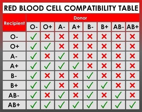 Why Do Humans Have Different Blood Types? » ScienceABC