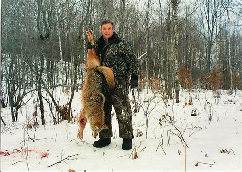 LET'S SEE YOUR COYOTE HUNTING PHOTO'S | Page 10 | Michigan Sportsman ...