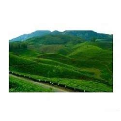 Idukki Hill Station Tour Package at best price in Chennai | ID: 9851661888