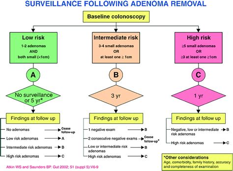 Guidelines for colorectal cancer screening and surveillance in moderate and high risk groups ...