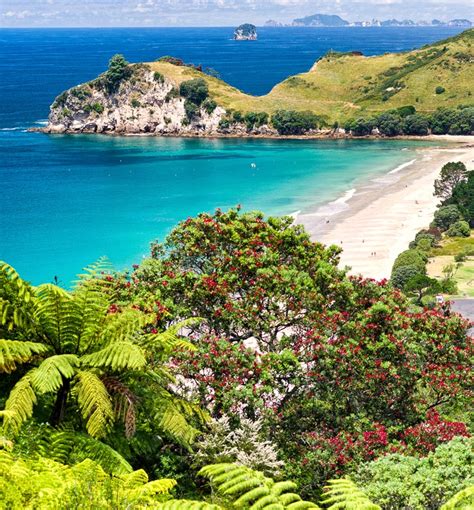 Beautiful Hahei Beach, Coromandel Peninsula, New Zealand. | New zealand beach, New zealand ...