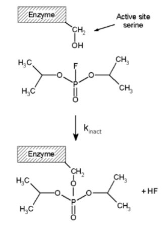 Irreversible Inhibition