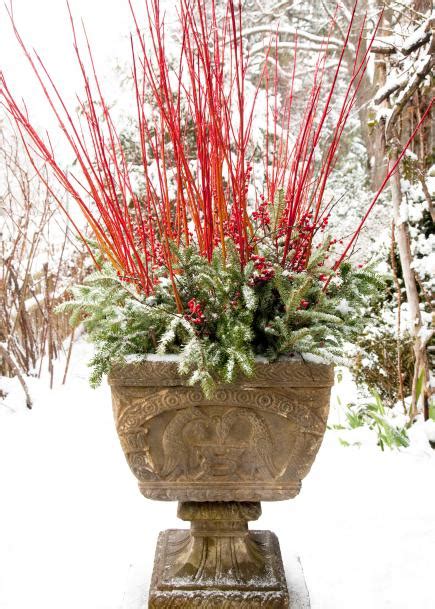 Winter Container Garden Ideas