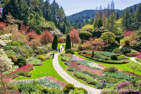 BUTCHART GARDENS | Visitor In Victoria