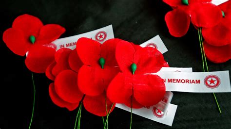 Remembering veterans with red poppies