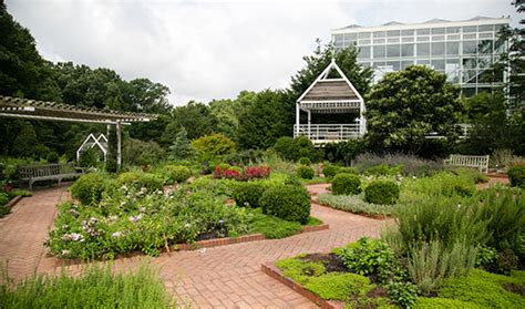 State Botanical Garden of Georgia takes No. 7 spot in USA Today poll ...