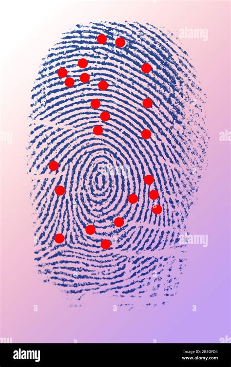 Fingerprint analysis hi-res stock photography and images - Alamy