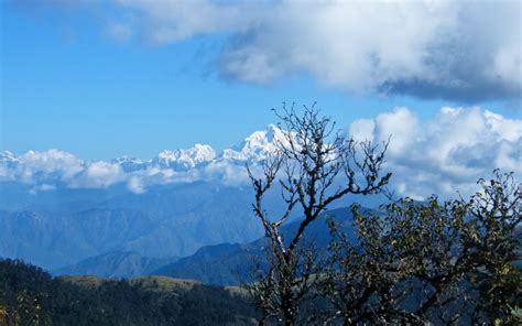 The 11 Largest Forests in India - Lots to Read