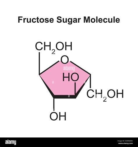 Fructose Molecular Structure