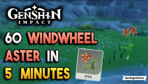 Genshin Impact Guide: Where to find the Windwheel Aster quickly