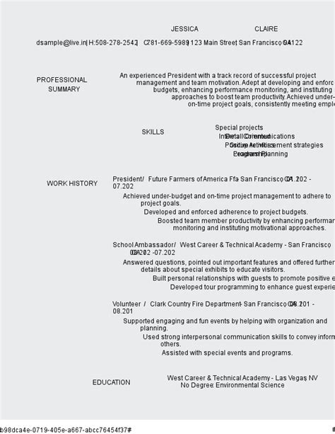 President Resume Examples [Guide and Writing Tips]