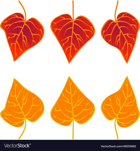 Autumn leaves foliage fallen graphic red orange Vector Image