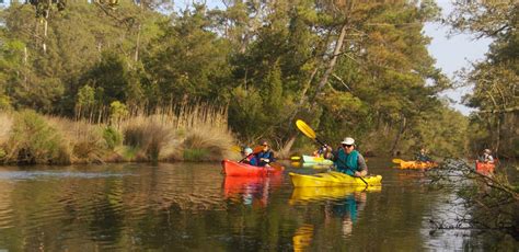 Outer Banks Kayak Tours • #1 Rated • National Geographic Top Adventure