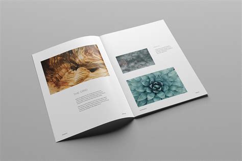 Photography Portfolio | Creative Brochure Templates ~ Creative Market