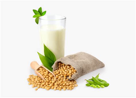 Soybean Png - Soya Bean Milk Png , Free Transparent Clipart - ClipartKey