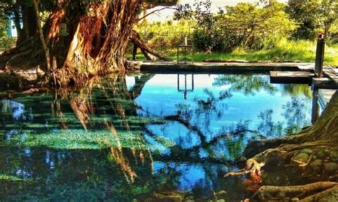 Umbul Manten, Kolam Pemandian Alami Dengan Legenda di Klaten - iTrip