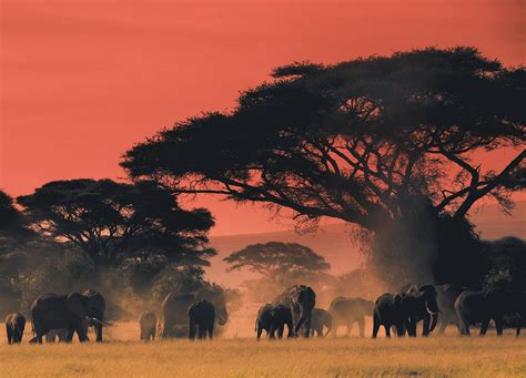 At the end of the day on the plains of Africa - Imgur Image color ...