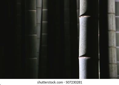 2,374 Bamboo forest night Images, Stock Photos & Vectors | Shutterstock