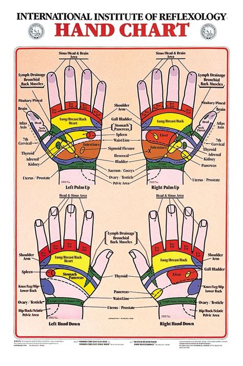 Hand Reflexology Chart -International Institute of Reflexology | Hand ...