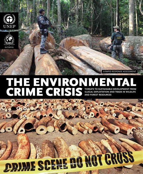 The Environmental Crime Crisis by United Nations Publications - Issuu