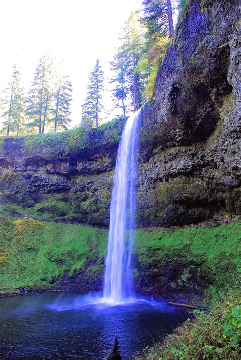 Everything Oregon (and Beyond): Silver Falls State Park: Trail of Ten Falls