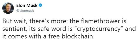 The flamethrower is sentient and comes with a free blockchain | Elon ...