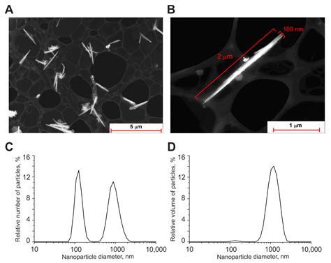 IJMS | Free Full-Text | Pilot Study of Cytoprotective Mechanisms of Selenium Nanorods (SeNrs ...