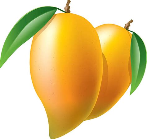 Free Mango Clipart, Download Free Mango Clipart png images, Free ...