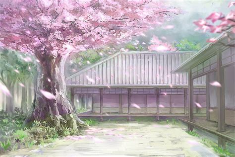 벚꽃 애니메이션 풍경, 애니메이션 벚꽃 나무 HD 월페이퍼 | Pxfuel