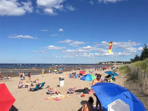 Feces - Review of Parlee Beach, Shediac, New Brunswick - Tripadvisor