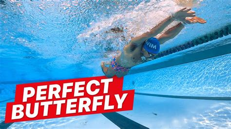 How to Swim Butterfly with Perfect Technique - YouTube