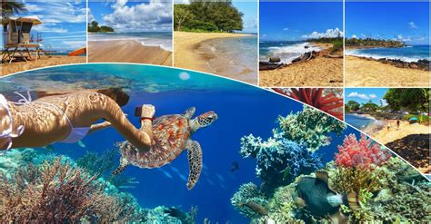 best snorkeling kauai november - Peachy-Keen Online Diary Pictures