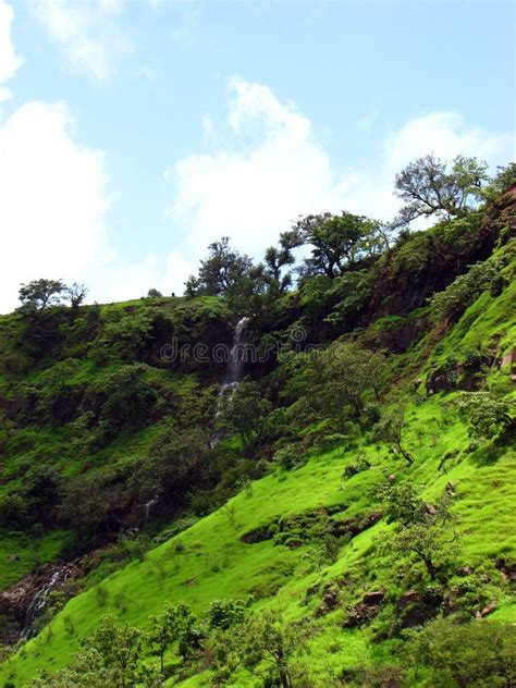 Waterfalls in Flores Island (Azores) Stock Image - Image of miguel ...