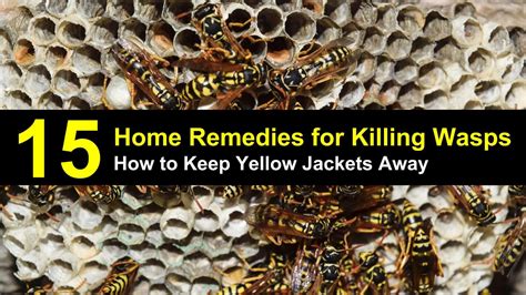 How to Keep Yellow Jackets Away from Your Home - 15 Home Remedies for ...