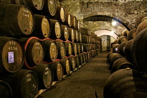 The Best Wineries and Vineyards to Visit in Porto