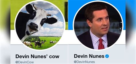 Devin Nunes’ Cow – GEORGE ROTHERT