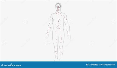 Body Temperature is Regulated by a Structure in the Brain Called the ...