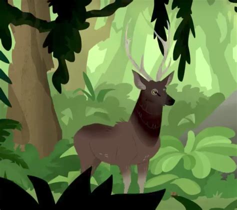 Image - Wild Kratts Sambar Deer.png | The Parody Wiki | FANDOM powered ...