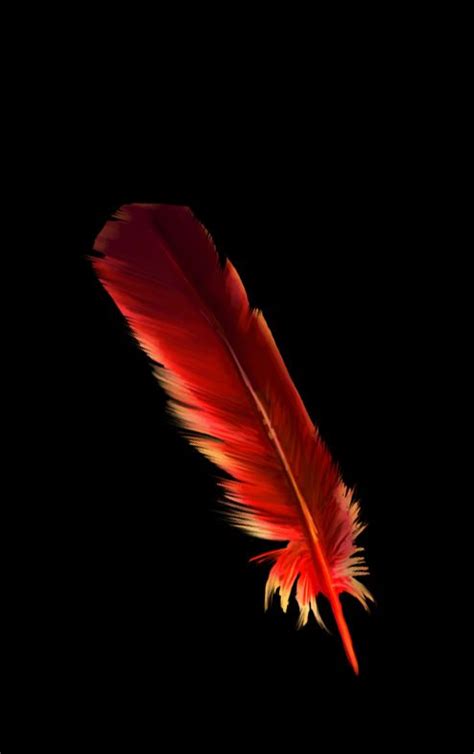 Phoenix Feather--- writing inspiration | Phoenix feather, Adventure aesthetic, Feather