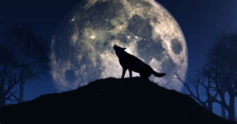 Spiritual Meaning of the Wolf Moon | Spirituality+Health